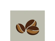 coffee bean icon vector illustration template