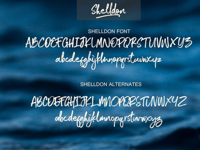 Shelldon Brush Script Font Demo (Personal Use)