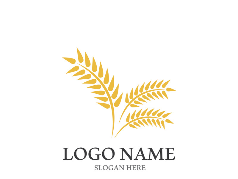 Wheat logo vector icon illustration design