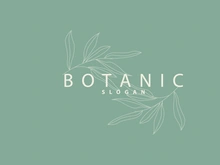 Leaf Line Logo, Beautiful Hand Drawn Design