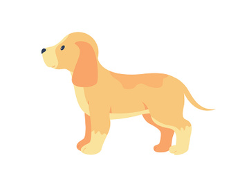 Labrador retriever puppy adoption semi flat color vector character preview picture