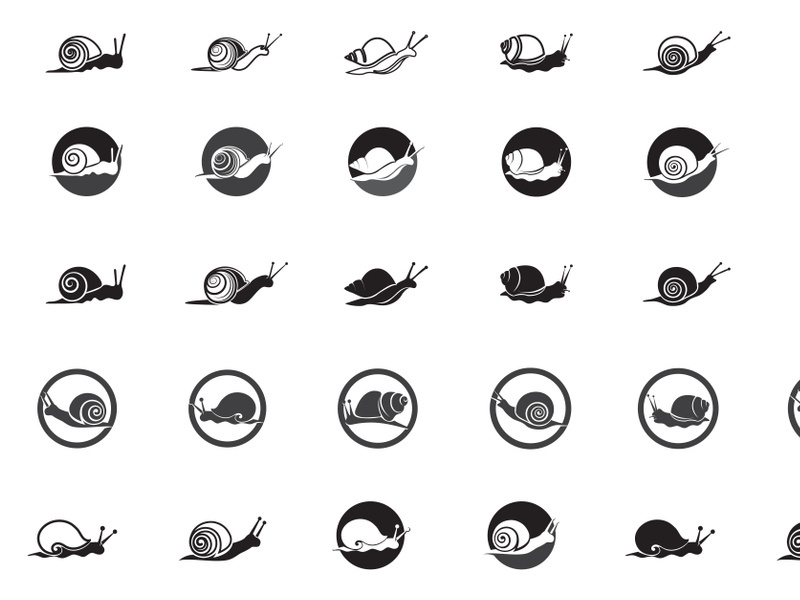 Snail Icon logo vector Template Element