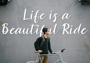 Amelliz - Calligraphy Brush Font