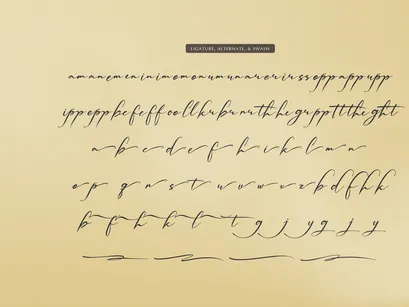 Palmintte | Handwritten Script