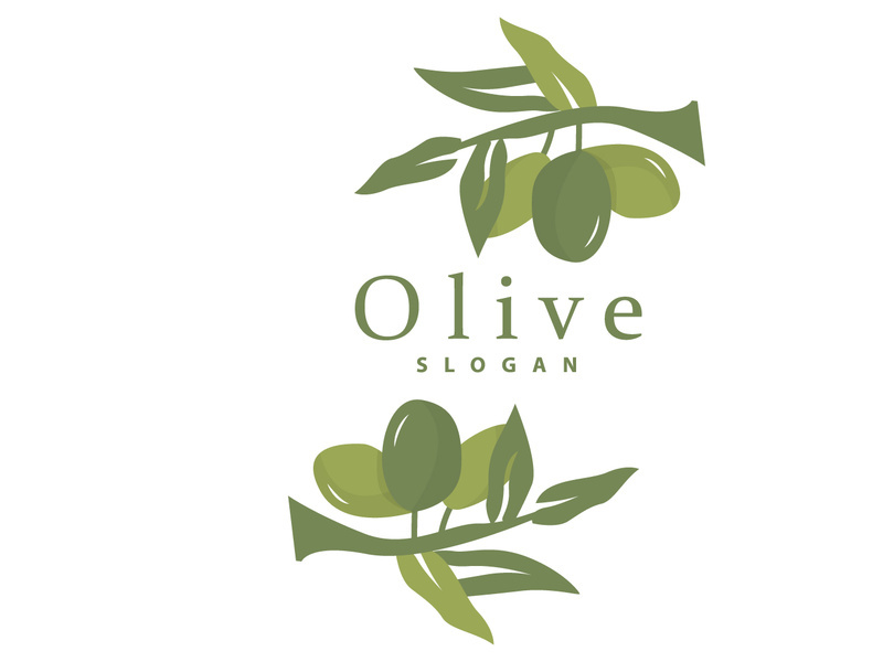 Olive Oil Logo, Olive Leaf Plant Herbal Garden Vector