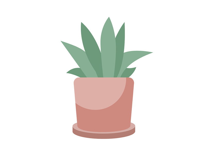 Houseplant in pot semi flat color vector object