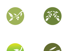 Branched olive fruit logo with creative idea.