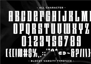Blocky Varsity - Condensed Slab Serif Font