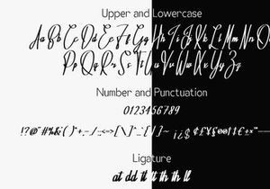 Charm Ink - Script Font