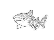 Shark swimming underwater vector illustration flat design