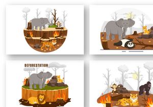 9 Deforestation Vector Illustration