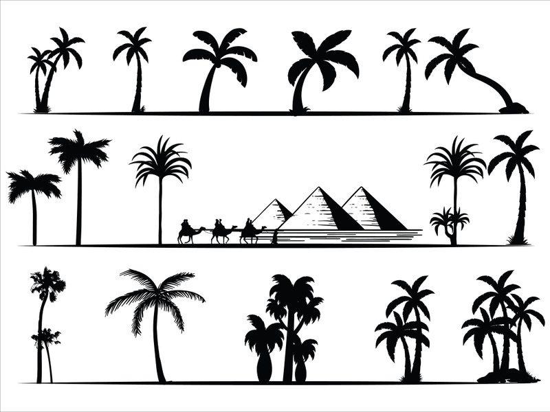 Palm Tree Collection and Silhouettes