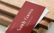 Sandy King - Casual Serif Font