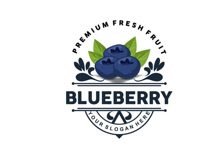 Blueberry Logo, Garden Farm Fresh Fruit Vector
