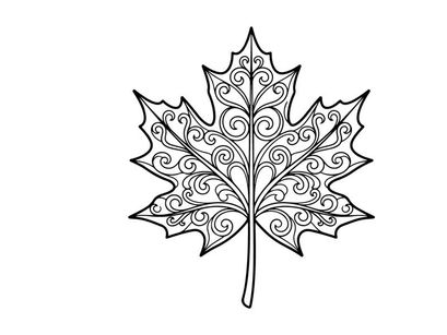 Decorative maple leaf illustration for design projects. Artistic botanical drawing for creative use.