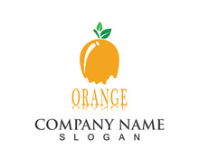 Orange logo design Vector icon illustration design