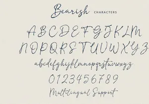 Bearish - Handwritten Script Font
