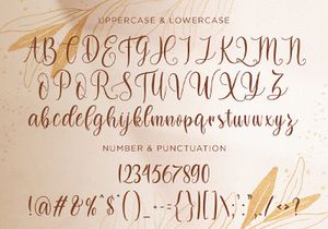 Dilan Whemsy - Modern Script Font