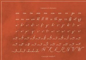 Ruilanty | Vintage Script Font