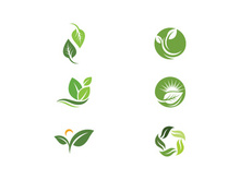 Green Tree leaf ecology nature element