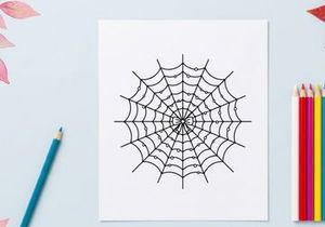 Geometric spider web design with radial symmetry. Minimalist black and white vector illustration for digital art and decor.