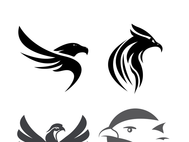 Falcon logo template vector illustration design