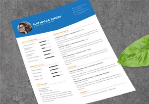 Professional CV Resume - Corporate Lawyer