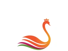 Swan logo Premium and symbol Vector