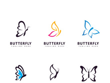 Beauty butterfly logo  symbol vector template