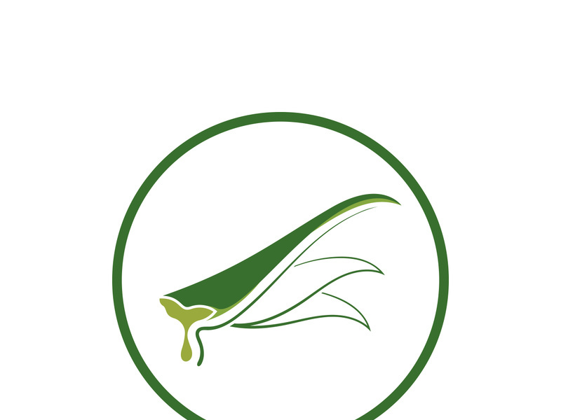 Aloe Vera logo icon design symbol beauty skin care