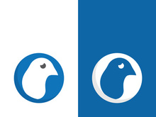 Dove bird logo vector design illustration