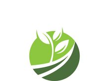 Logos of green tree leaf ecology nature element vector