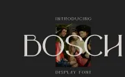 Bosch Display Font - Personal Use