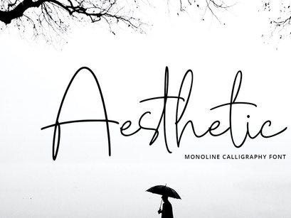 Aesthetic - Monoline Calligraphy Font