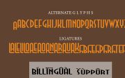Christmas font