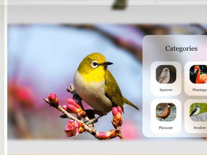 Birds Website Design-Free Glassmorphism-Responsive