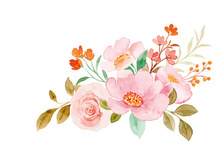 Vector Flower Watercolor Illustration