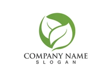 Green leaf logo Vector