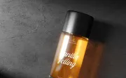 Filagio Vilantio | Classic Elegant Script