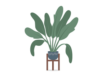 Potted tropical plant with large leaves semi flat color vector object preview picture