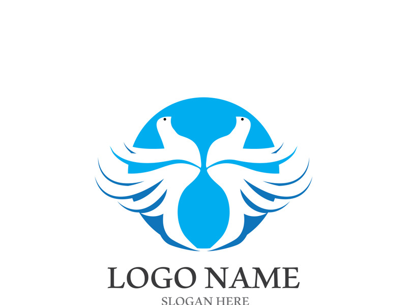Dove bird logo vector design illustration