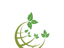 Green tree leaf nature logo images illustration design