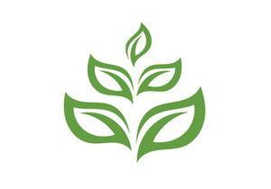 Leaf green logo vector