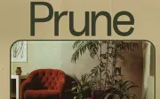 Prune Free Typeface