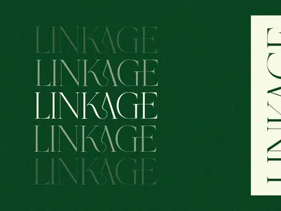 Grass - Serif Font