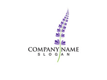 Fresh Lavender flower logo vector flat