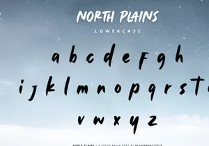 North Plains - Rough Brush Font