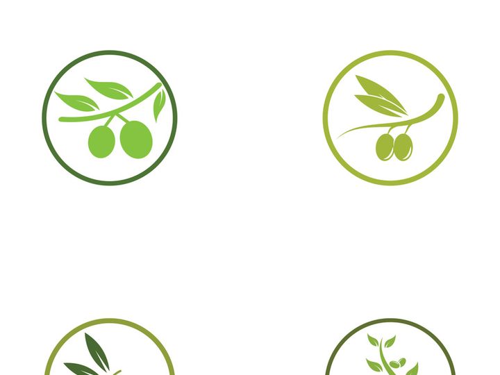 Branched olive fruit logo with creative idea.