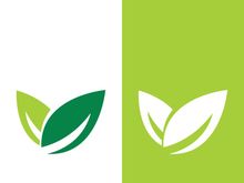 Green tree leaf nature logo images illustration design