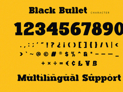 Black Bullet - Serif Font